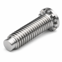 Einpressgewindebolzen für hohe Belastung mit Zentriersatz - HRHFHD, HRHFHDS